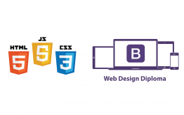 Web Design تصميم المواقع